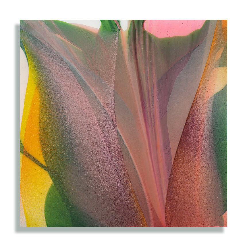 Sold Out - Tulip III